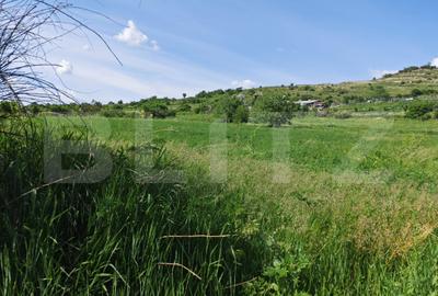 Teren agricol intravilan de 4800 mp, în Nord