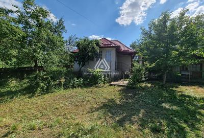 CASĂ LA ȚARĂ, SÂMBOLENI, COMUNA CAMARAȘU - 15