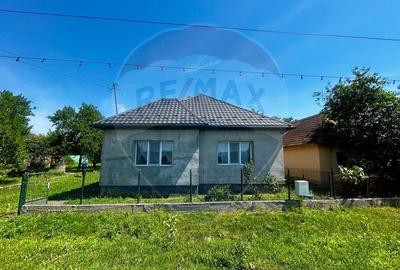 Gospodarie moderna completa de vanzare in Aciua, jud. Satu Mare - 6