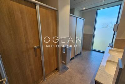 Spatii de birouri PREMIUM (nZEB) 757mp, ZONA CENTRALA - 12