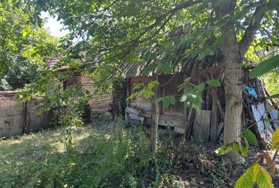 (316) Teren pentru casa in Albota, langa Pitesti - 2