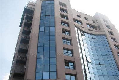 Muntenia Business Center - birouri de la 34 mp - 3