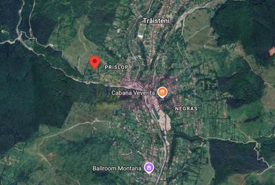 Teren intravilan 2200 mp de vanzare in Valea Doftanei - 6