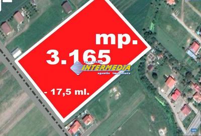 Teren Construcții intravilan de 3165 mp, în Cetate
