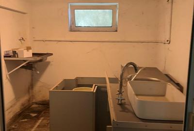 Gara de Nord - Plevnei 3 camere decomandat parter 81 mp + pivnita + pod - 10