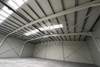 CENTURA - Rudeni | HALA 510 mp| Birouri 60mp | Parc Industrial nou - 5