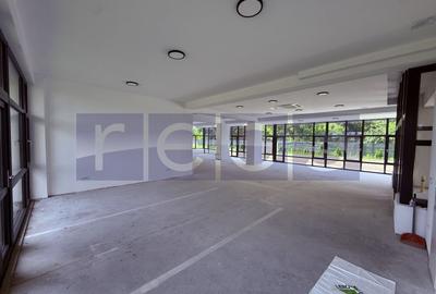 Spatiu comercial 220 mp cu curte si terasa, Sector 1 - 3