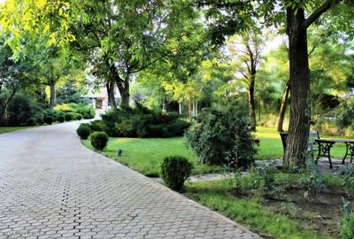Vila exclusivistă – Buftea – Oportunitate unică! - 4