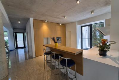 Inchiriere vila moderna Iancu Nicolae - 7