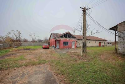 Teren 7500mp și construcții de vânzare, Tilecuș - 10