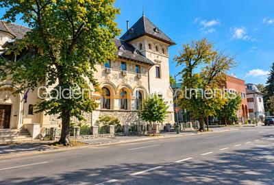Vila de inchiriat Gradina Icoanei - 4