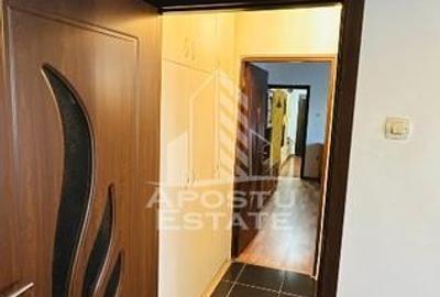 Apartament 2 camere de vânzare, zona Modern, Timișoara - 5