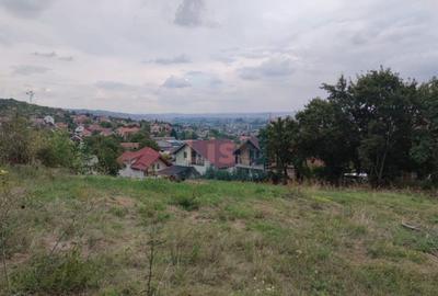 COMISION 0%! Teren constructii 3400 mp, panorama, Dambul Rotund - 2