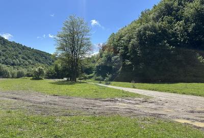 Teren 1,340mp Cuejdiu / Strada Cuejdiului - 1