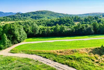 Teren intravilan zona Bran-Tohanita,langa padure intre 500 si 1000 m - 7