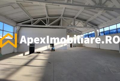 Hala Industriala Xenia – 1800 mp, Acces TIR, Parcare 50 Auto - 11