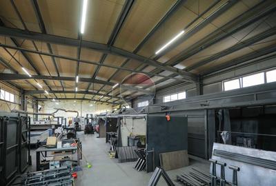 Hală în parc industrial Borș 1, teren 2.903 mp, de vânzare - 48