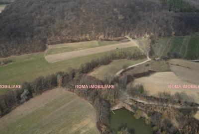 Teren superb de vânzare în Dumbrăvița – 3.750 mp - 5