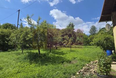 Cabana cu 5 camere de vanzare in Provita - 22