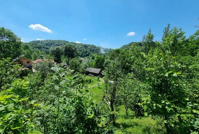 Casa de la marginea padurii! - 3