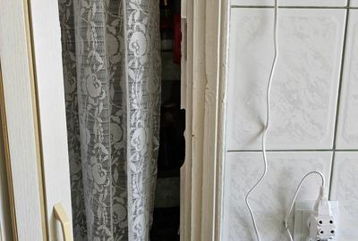 Strada Maica Domnului, Tei, stradal - 10