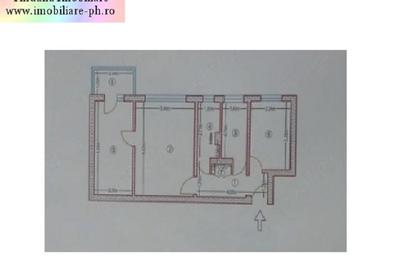Apartament 3 camere de vanzare : Malu Rosu - 10