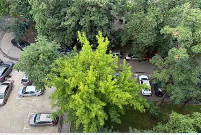 Garsonieră semidecomandată în Ferdinand