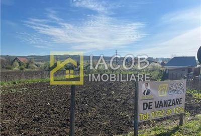 Teren Construcții intravilan de 2554 mp, în Prăjești (Traian)