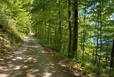 Teren intravilan cu acces la Lacul Tarnița – Somesu Cald - 3