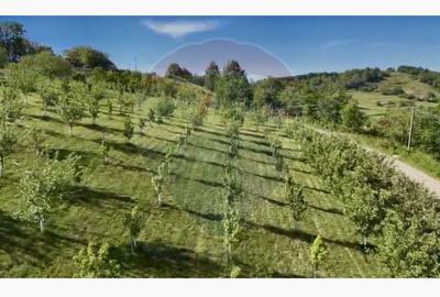 Teren agricol intravilan de 20170 mp, în Șuncuiuș