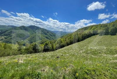 Teren agricol extravilan de 6000 mp, în Valea Ierii