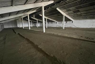 Hale de inchiriat localitatea M. Kogalniceanu Tulcea - 3