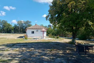 Spatiu industrial -  depozitare hale Baza Receptie Ghimpati Giurgiu - 6