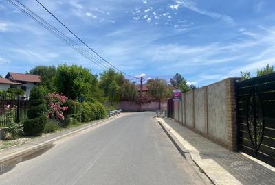 Duplex în vilă, 4 camere, renovat 2025, curte 250 mp, Mogoșoaia - 21