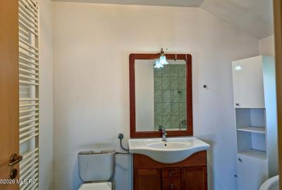 Sacalaz - Casa P+M, 139 MP, 2 Dormitoare, 3 Bai, Birou, Foisor, Iaz - 28