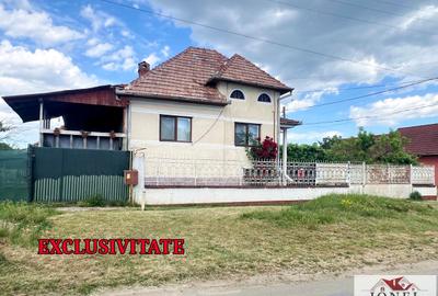 Vanzare casa in Ighiu 890 mp teren - 1