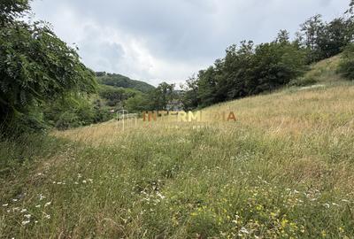 TEREN Intravilan 1257 mp Liziera Pădurii Meteș Platou Cabană la 15 km Alba Iulia - 5