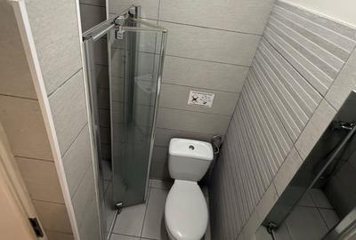 Garsoniera | Cismigiu- Izvor | Metrou - 10