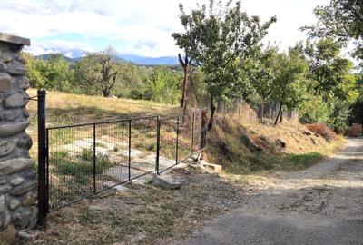 Teren intravilan de vanzare in Turcinesti, sat Horezu - 2