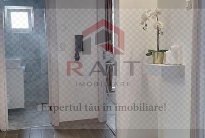 Apartament de inchiriat Curtea de Arges Progresu - 11