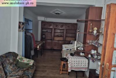 Casa de vanzare - Eroilor(Granitului) - 17