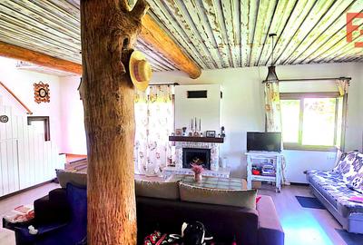 Cabana cu 7 camere de vanzare in Albac - V10073 - 44