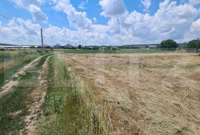 Teren agricol intravilan de 3600 mp, în Jucu de Mijloc