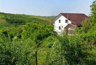 Teren Construcții intravilan de 4230 mp, în Bucium