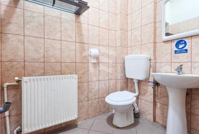 Spatiu Comercial Stradal | Calea Ferentari | Soseaua Salaj - 6