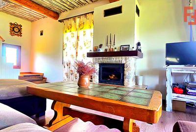 Cabana cu 7 camere de vanzare in Albac - V10073 - 41