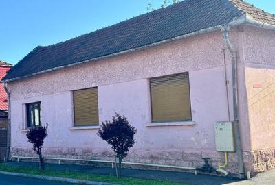 Casă individuală cu 3 camere în Vest