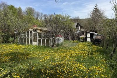 Casă de vânzare în zona Câmpulung înconjurată de natura - 17