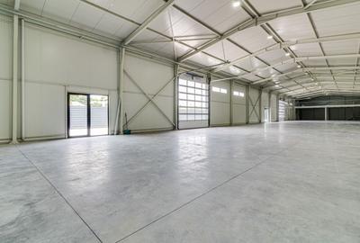 Reprezentanta PREMIUM| Hala Showroom 988mp, locatie exceptionala! - 9