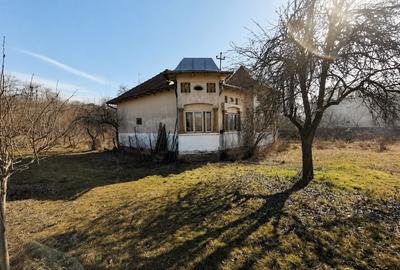 Proprietate cu 2.109 m² teren intravilan și două case, în Olanu - 3